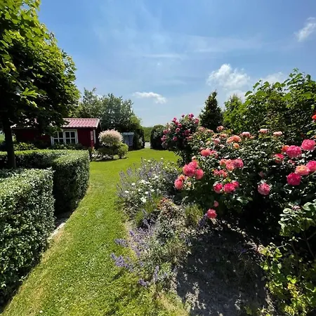 Guest house 
